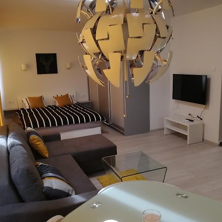 Apartment Oasis Banovo Brdo-Ada Ciganlija Belgrad Exteriör bild